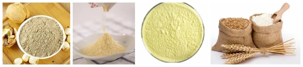 snack food processing machine